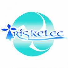 Logo de TRISKELEC, société de travaux en Installation électrique : rénovation complète ou partielle