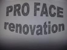Logo de PRO FACE, société de travaux en Ravalement de façades