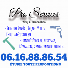 Logo de PRO SERVICES, société de travaux en Nettoyage toitures et façades