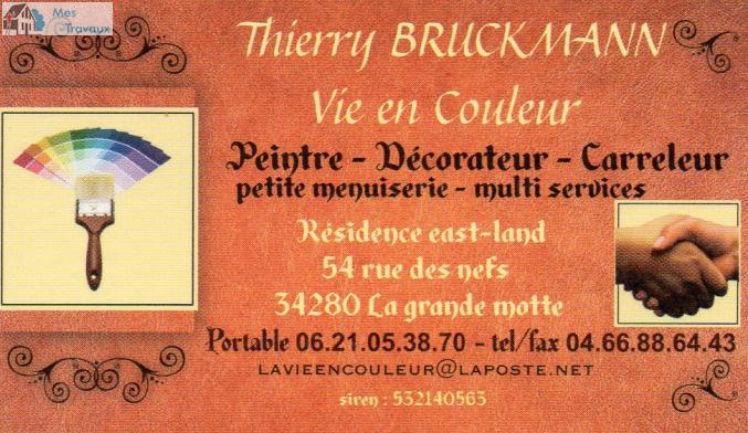 Logo de VIE EN COULEUR (BRUCKMANN THIERRY), société de travaux en Travaux de décoration