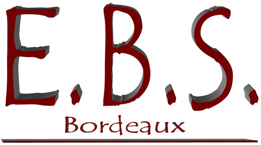 Logo de EBS BORDEAUX, société de travaux en Travaux divers