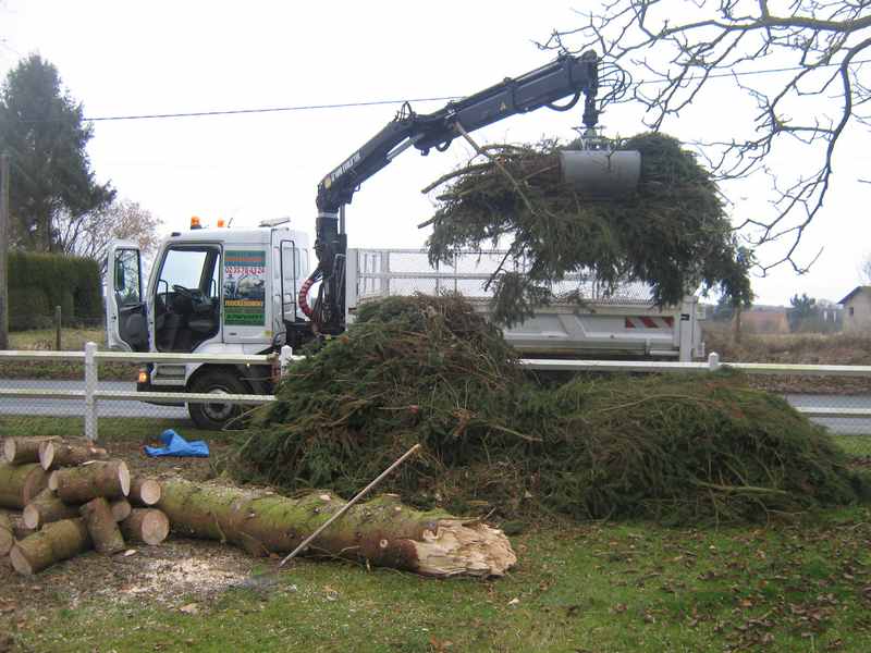 Logo de PAPLOREY DOMINIQUE, société de travaux en Abatage d'arbres