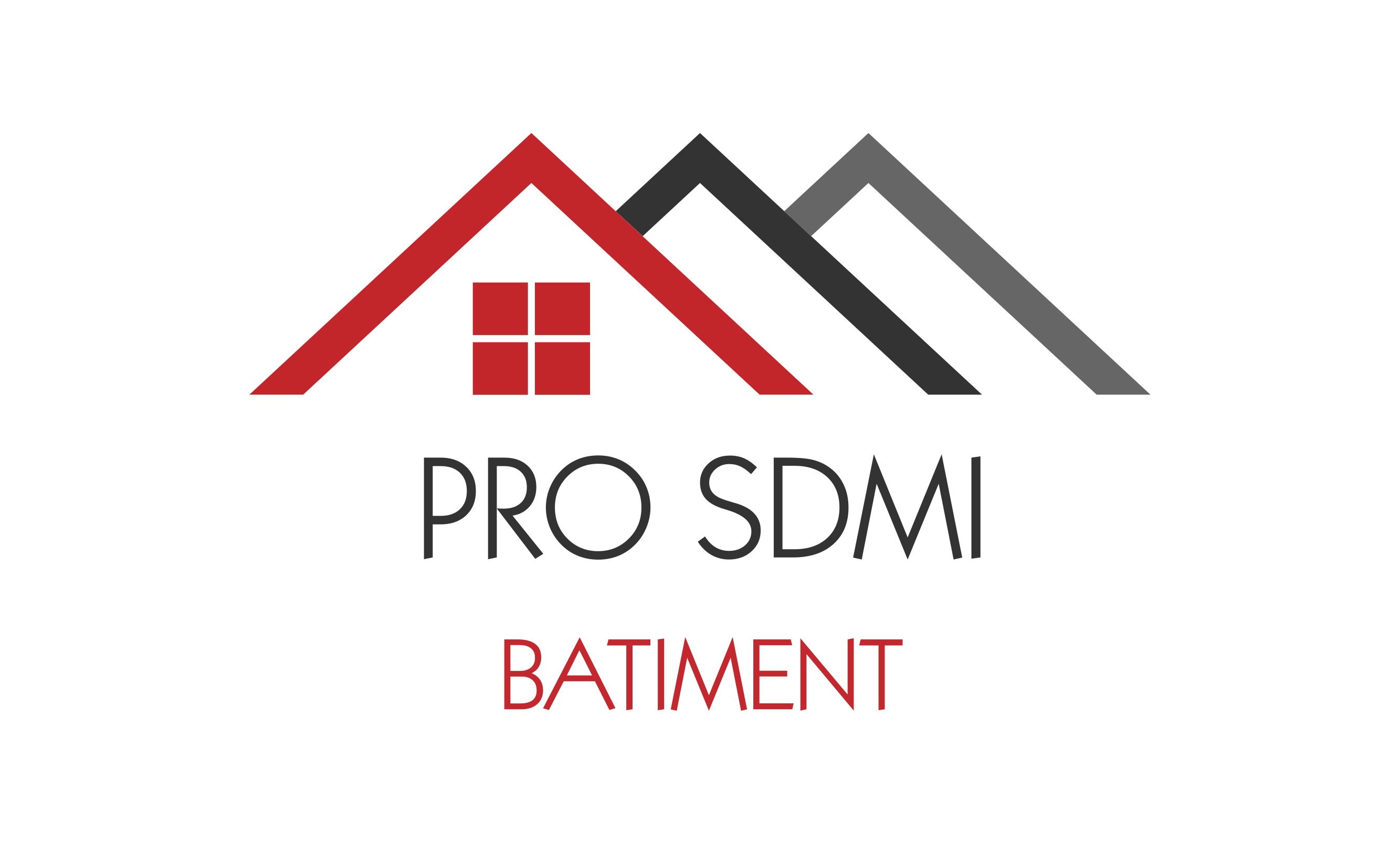 Logo de PRO SDMI, société de travaux en Travaux divers
