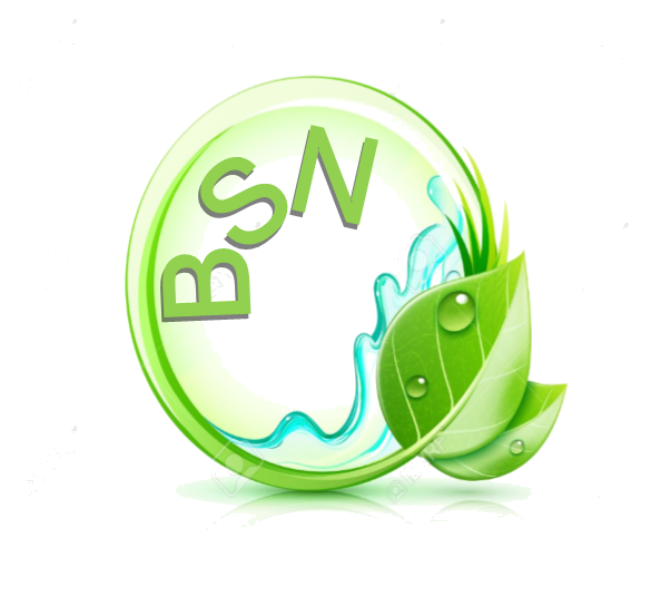Logo de BIO SERVICE NETTOYAGE, société de travaux en Nettoyage de vitre