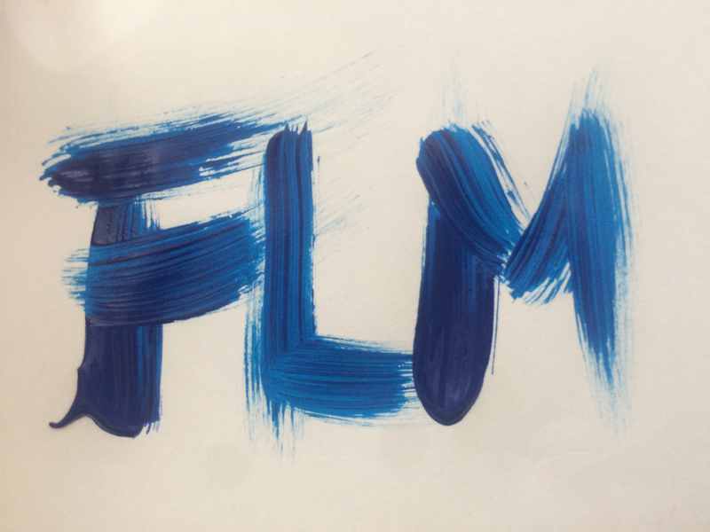 Logo de FLM, société de travaux en Construction, murs, cloisons, plafonds en plaques de plâtre