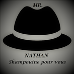 Logo de MR NATHAN SAS, société de travaux en Locaux Professionnels