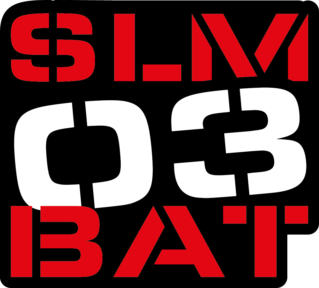 Logo de SLM 03 BAT, société de travaux en Dallage ou pavage de terrasses