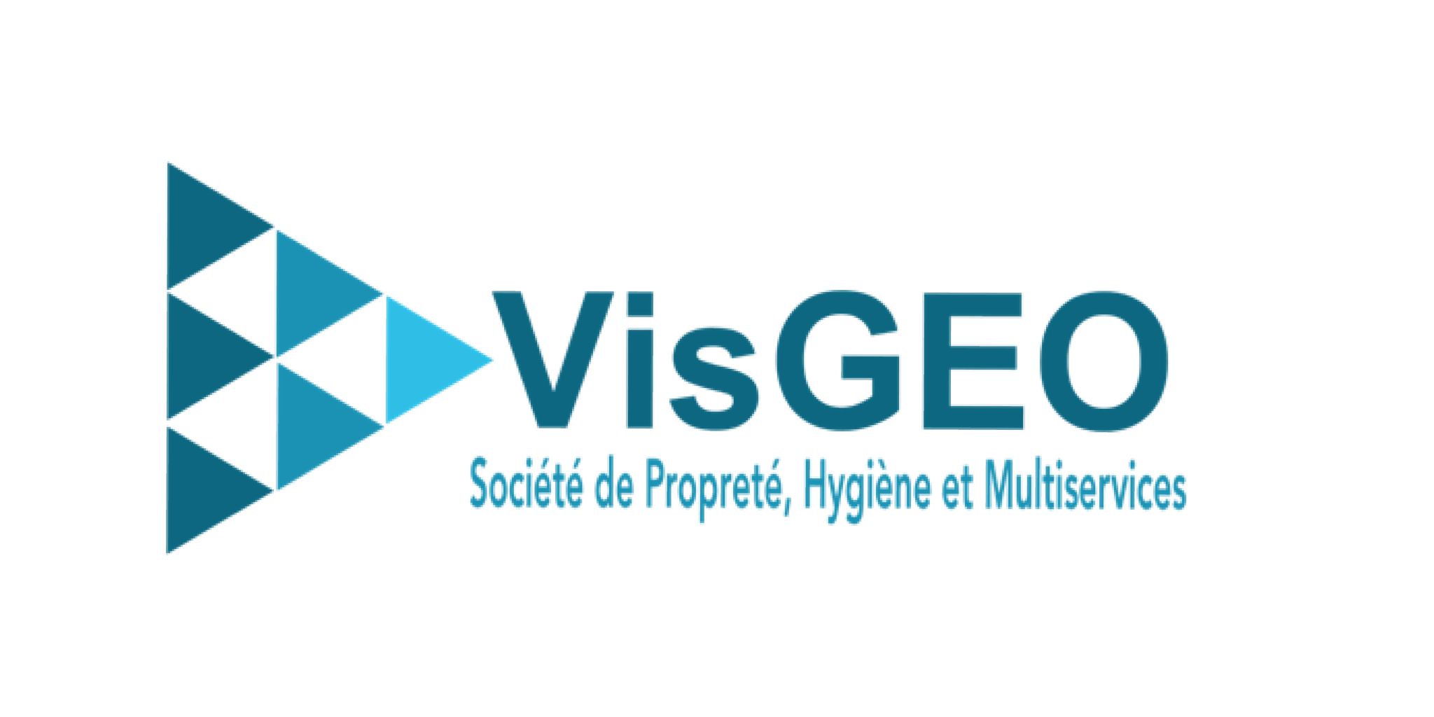 Logo de VisGEO, société de travaux en Locaux Professionnels