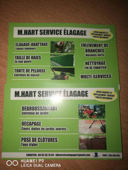 Logo de Hart service élagage, société de travaux en Elagage / Taille
