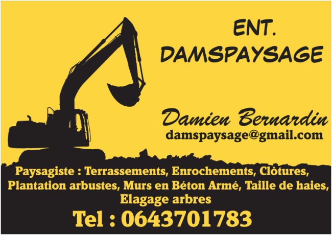 Logo de Ets Damspaysage, société de travaux en Maçonnerie : construction de murs, cloisons, murage de porte