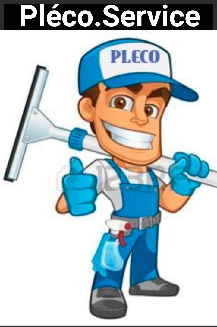 Logo de Pléco.service, société de travaux en Nettoyage de vitre