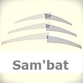 Logo de Sam'bat, société de travaux en Peinture : mur, sol, plafond