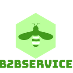 B2B SERVICE