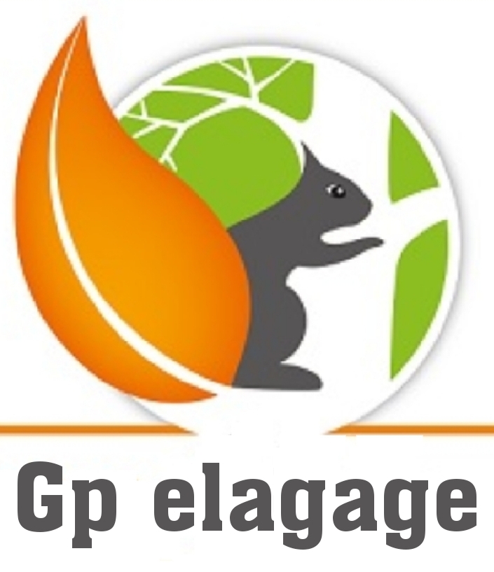 Logo de Gp elagage, société de travaux en Elagage / Taille