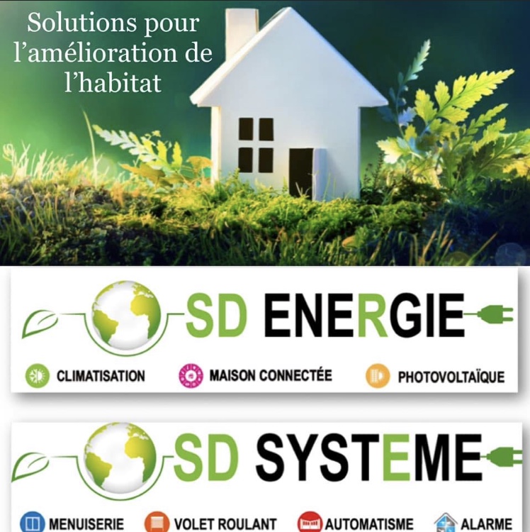 Logo de SD SYSTEME, société de travaux en Installation électrique : rénovation complète ou partielle