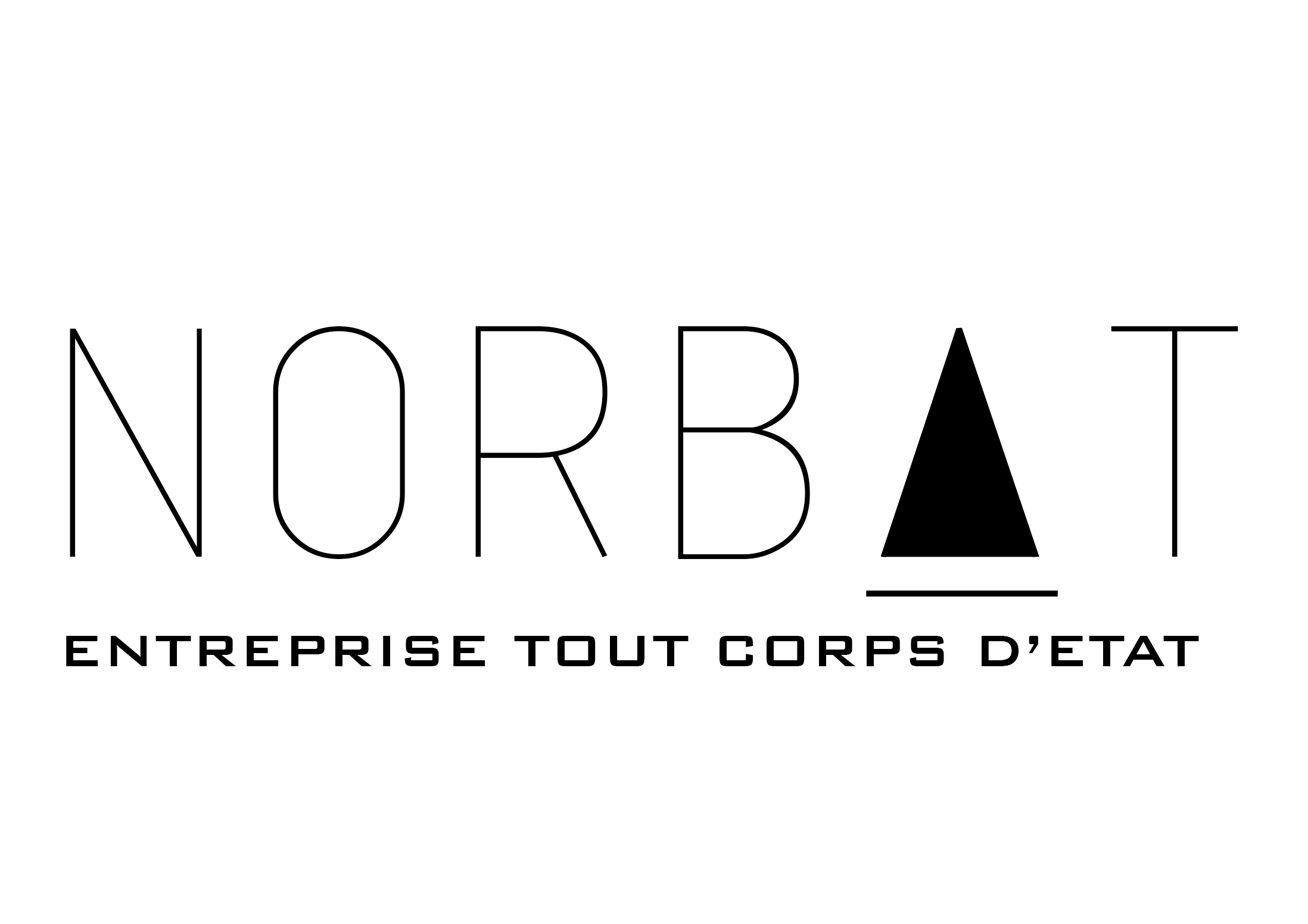 Logo de NORBAT, société de travaux en Construction, murs, cloisons, plafonds