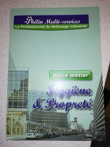 Logo de PHELIN MULTI SERVICES, société de travaux en Autre catégorie