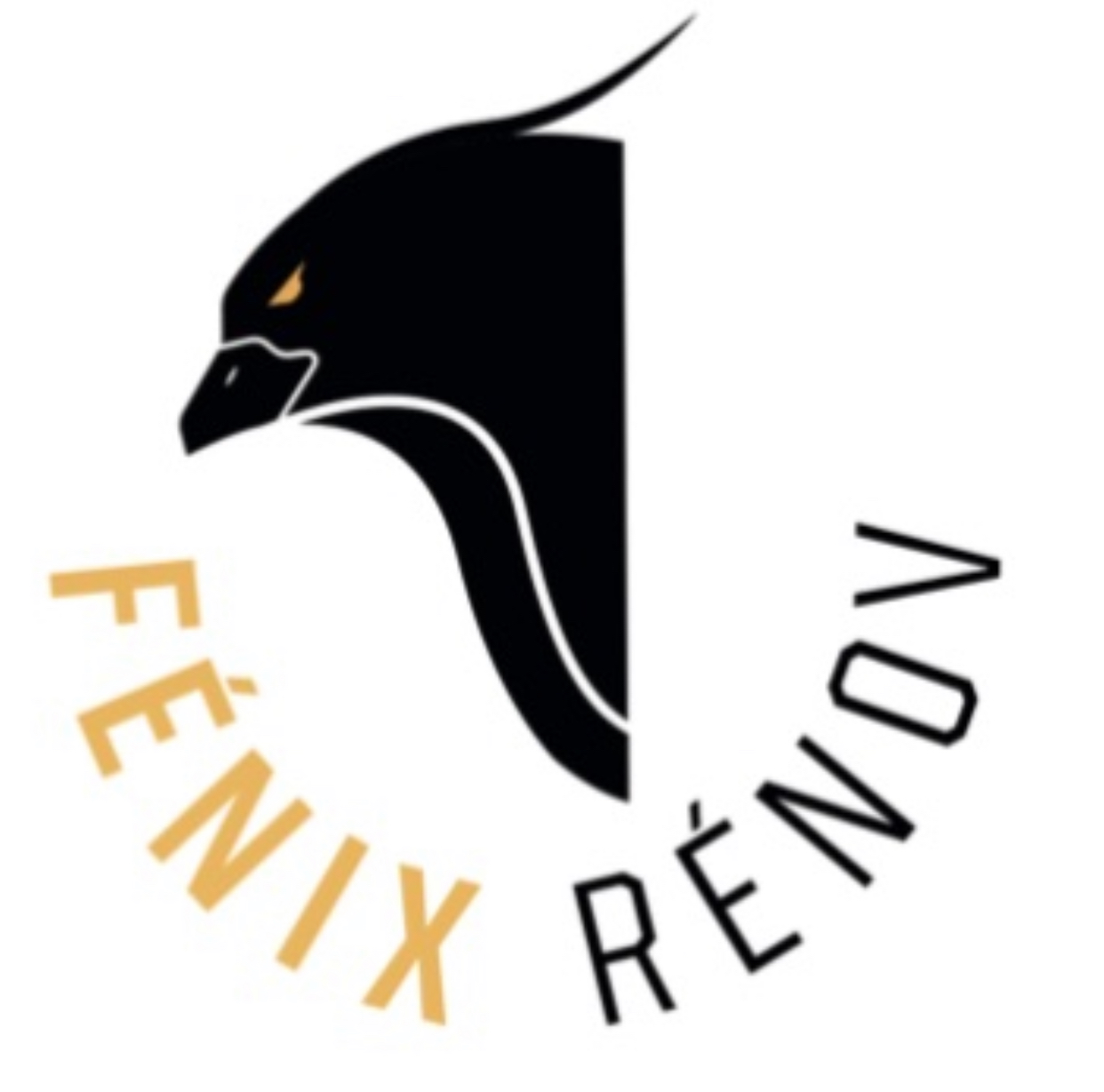 Logo de Fénix rénov, société de travaux en Peinture : mur, sol, plafond