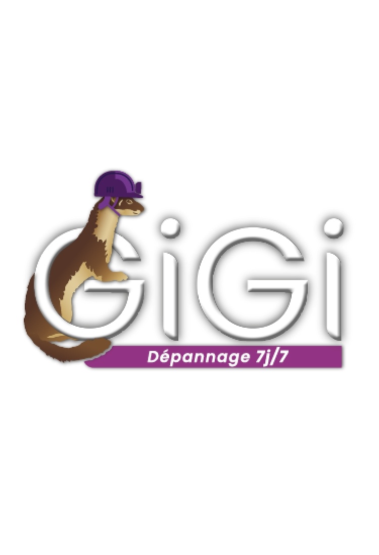 Logo de GIGi Plomberie, société de travaux en Dépannage en plomberie : fuite, joints, petits travaux