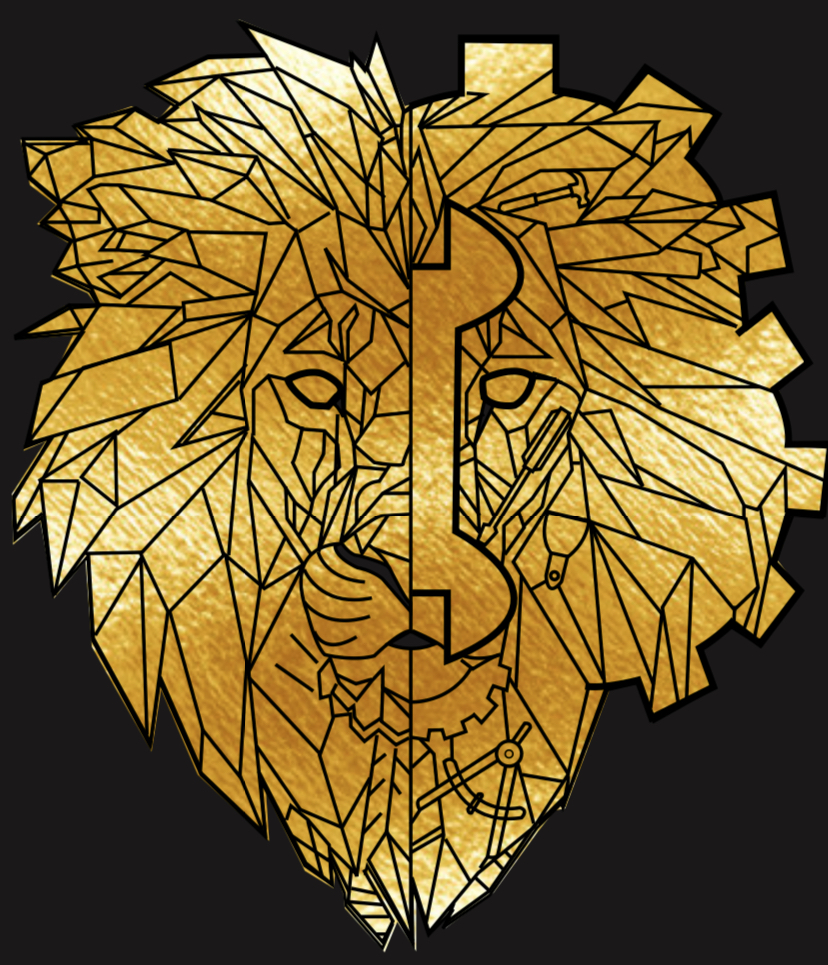 Logo de LION D'OR, société de travaux en Construction, murs, cloisons, plafonds