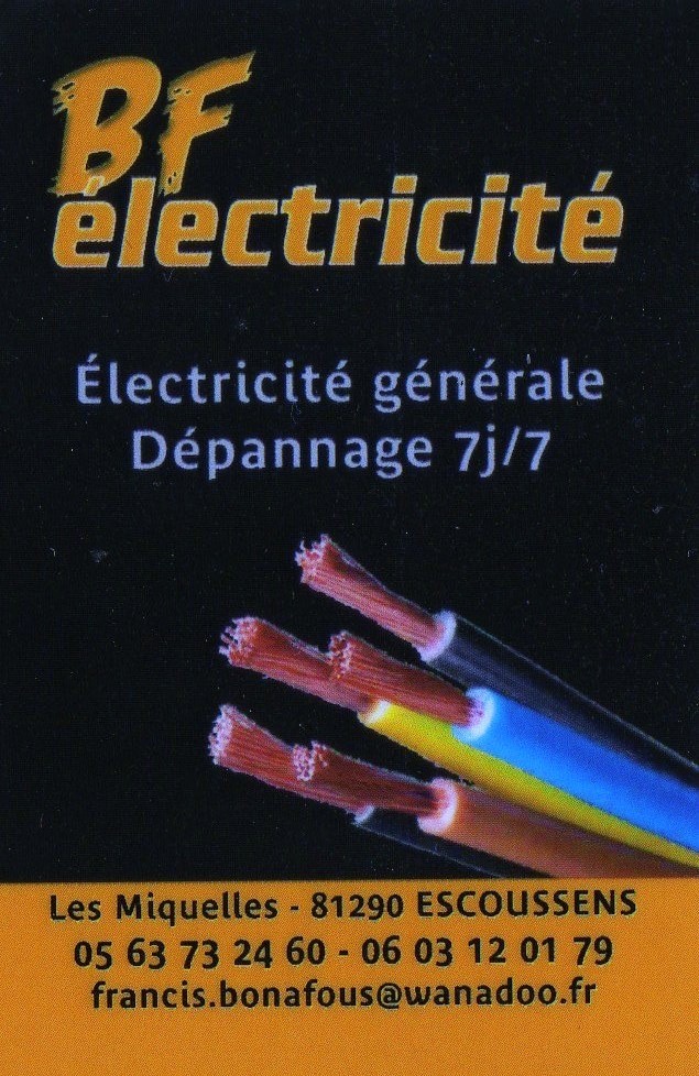 Logo de BF ELECTRICITE, société de travaux en Petits travaux en électricité (rajout de prises, de luminaires ...)