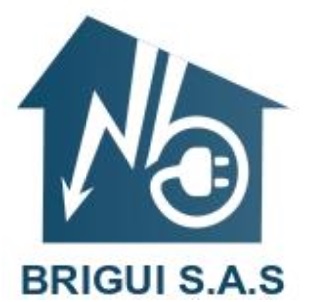 Logo de BRIGUI SAS, société de travaux en Petits travaux en électricité (rajout de prises, de luminaires ...)