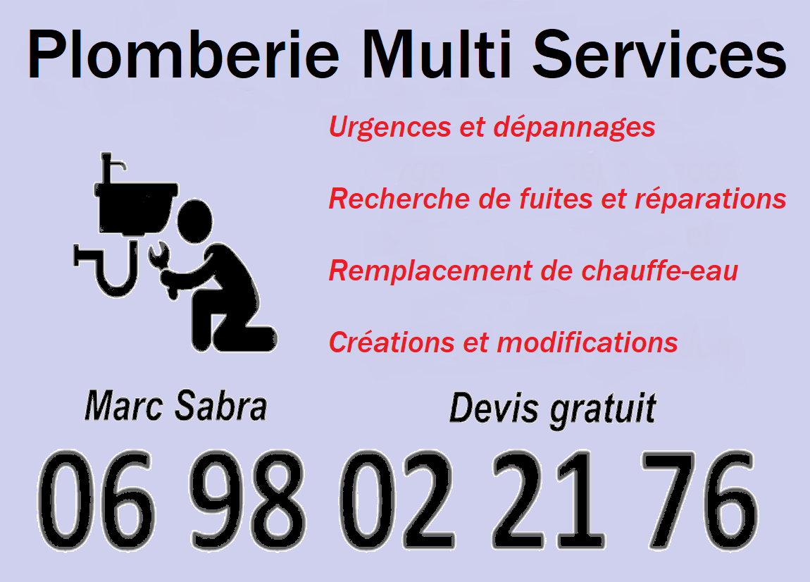 Logo de Plomberie Multi Services, société de travaux en Dépannage en plomberie : fuite, joints, petits travaux