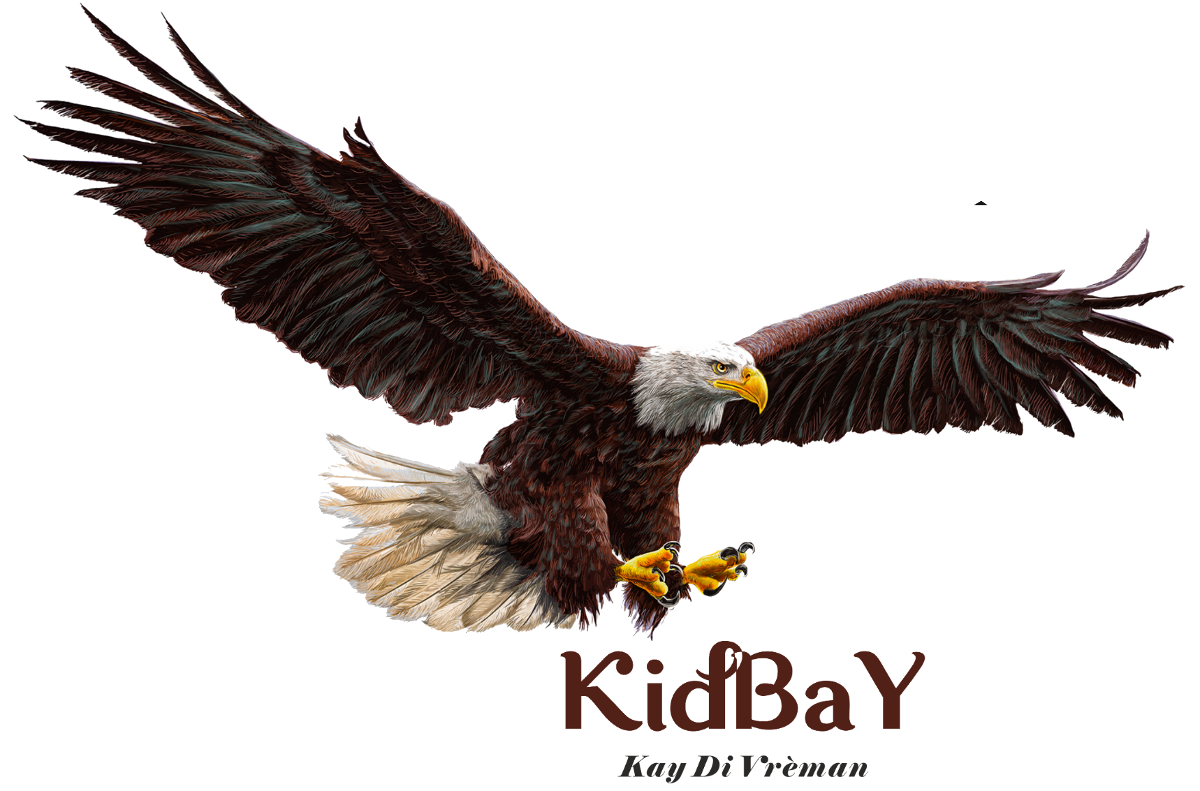 Logo de KIDBAY SASU, société de travaux en Domotique