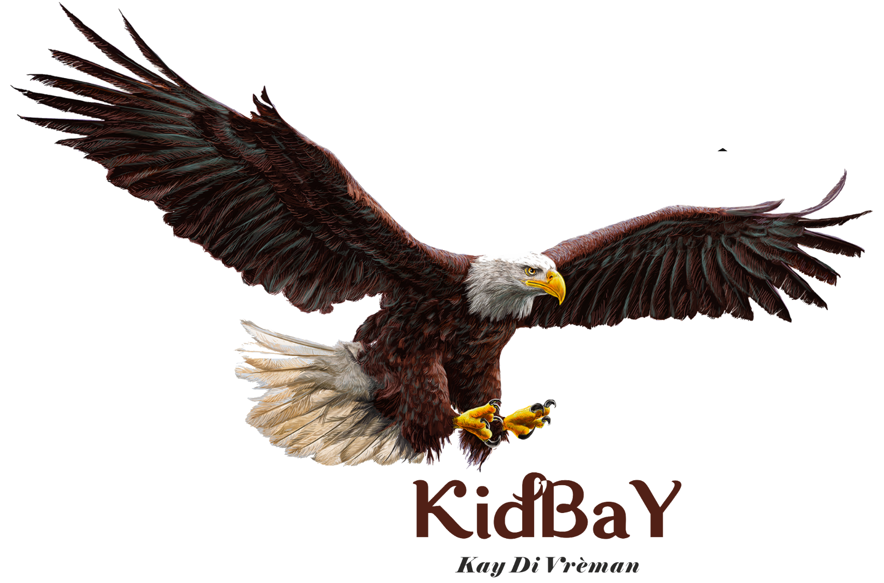 Logo de KIDBAY SASU, société de travaux en Dépannage électrique