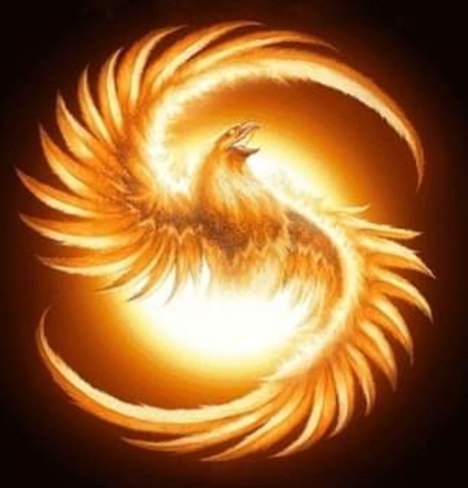 Fenix