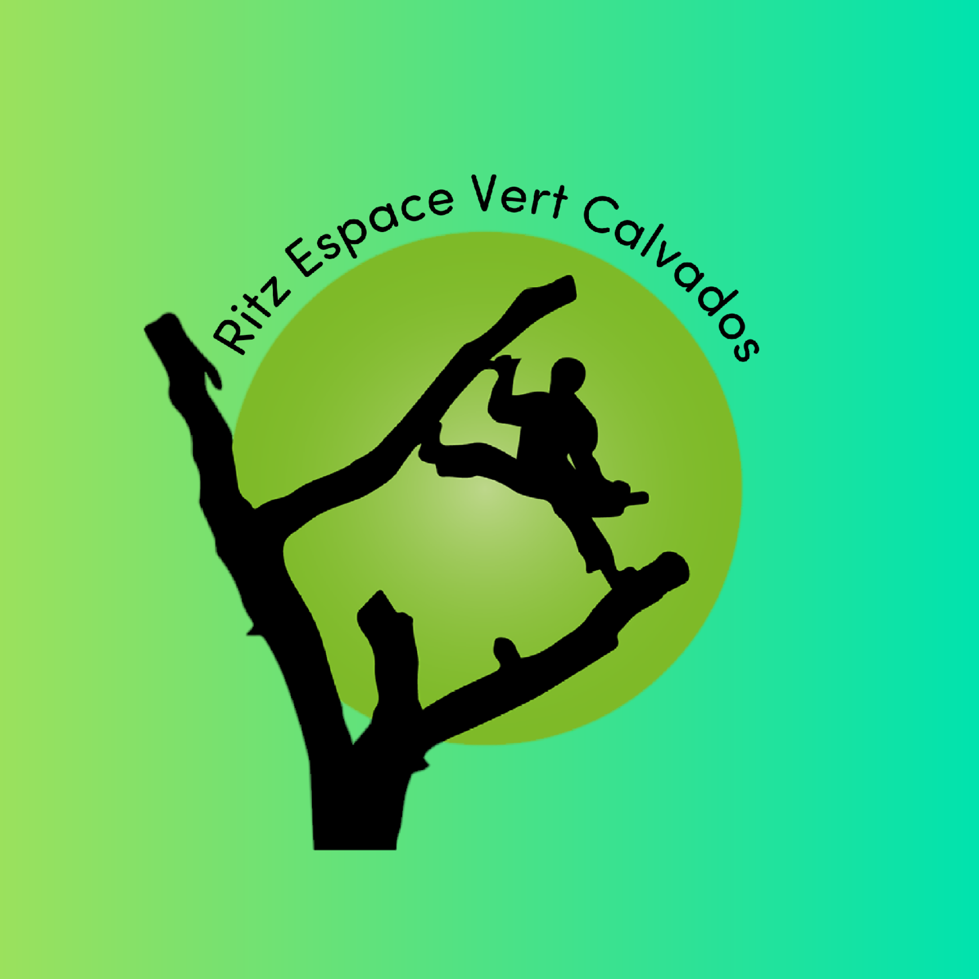 Logo de Ritz espace vert, société de travaux en Décoration jardin / patio / pergola / treillage / fontaine