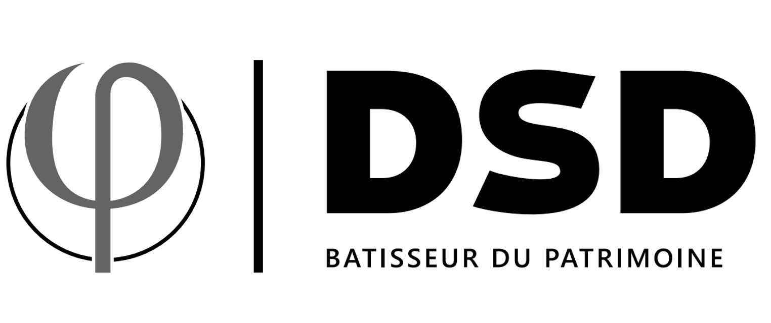 Logo de DSD Renov, société de travaux en Rénovation ou changement de votre couverture de toit