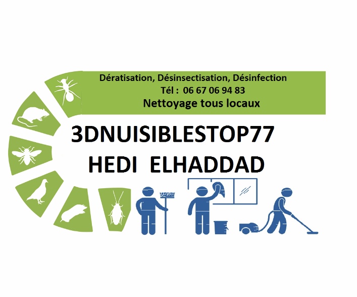 Logo de 3Dnuisiblestop77, société de travaux en bâtiment