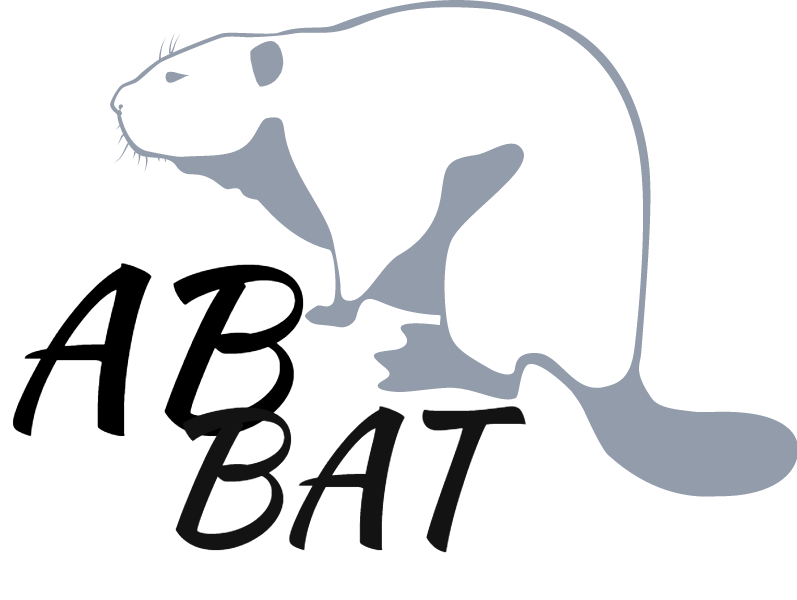 Logo de AB BAT, société de travaux en Fourniture et pose de carrelage