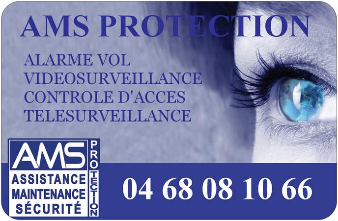 Logo de AMS PROTECTION, société de travaux en Alarme domicile