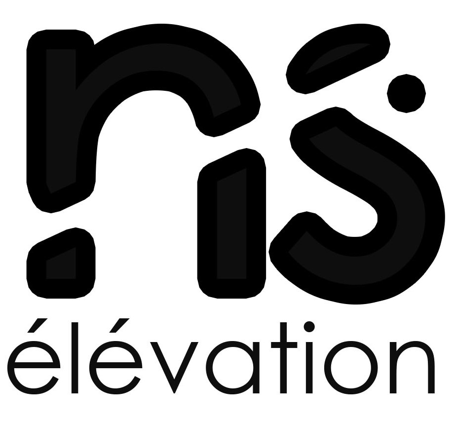 Logo de ns élévation, société de travaux en Travaux divers