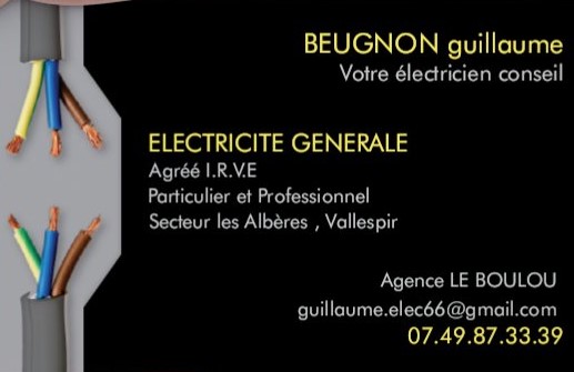 Logo de Beugnon Guillaume, société de travaux en Petits travaux en électricité (rajout de prises, de luminaires ...)