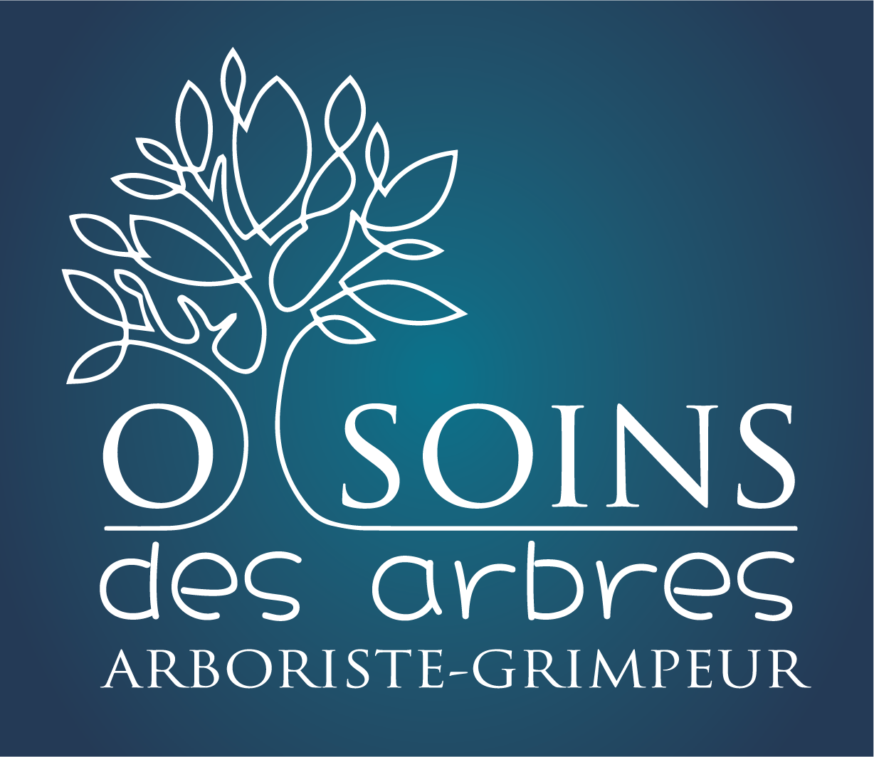 Logo de o soins des arbres, société de travaux en Elagage / Taille