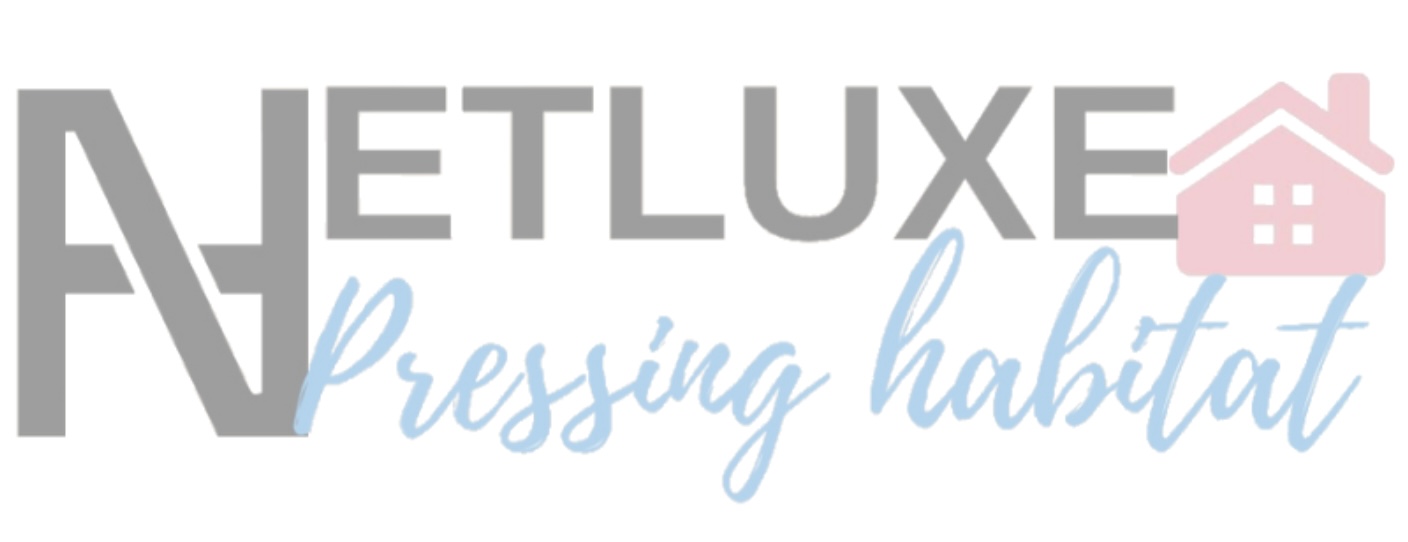 Logo de Netluxe entretien, société de travaux en Nettoyage de copropriété