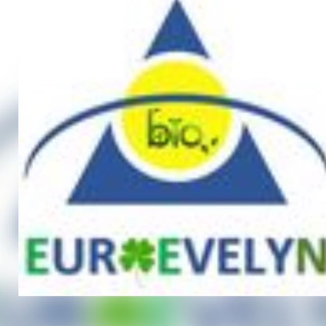 Logo de Euroevelyn, société de travaux en Peinture : mur, sol, plafond