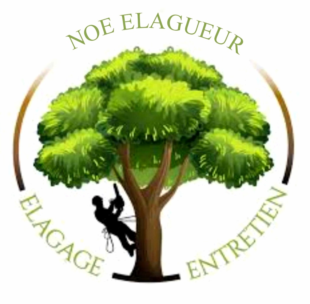 Logo de NOÉ PEINTRE PROFESSIONNEL, société de travaux en Petits travaux de maçonnerie