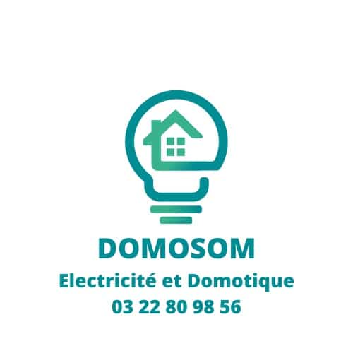 Logo de DOMOSOM, société de travaux en Domotique