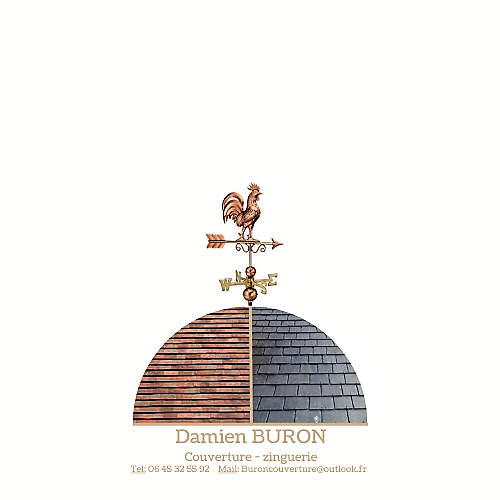 Logo de Eurl Damien Buron, société de travaux en Décrassage ou démoussage de toiture