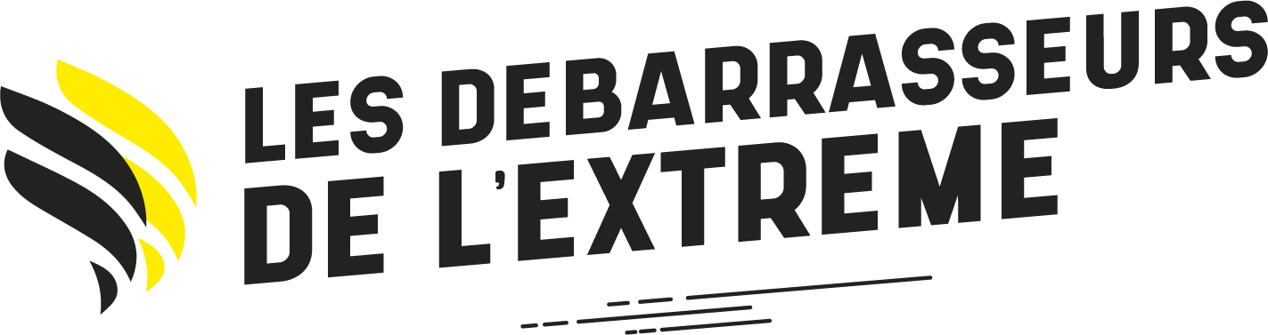 Logo de LES DEBARRASSEURS DE L'EXTREME, société de travaux en Nettoyage de copropriété