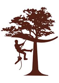 Logo de Cancy Devie, société de travaux en Abatage d'arbres