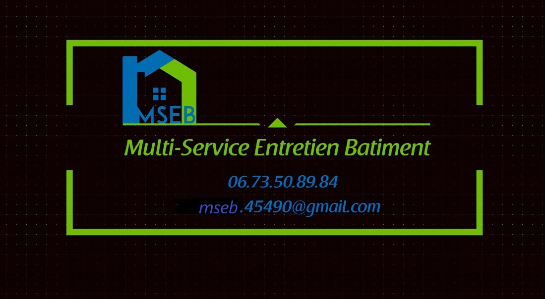 Logo de MSEB, société de travaux en Dépannage en plomberie : fuite, joints, petits travaux