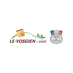 Logo de LE VOSGIEN, société de travaux en Rénovation des charpentes