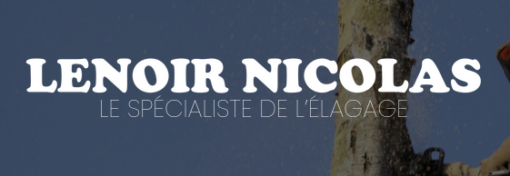 Logo de Lenoir Nicolas, société de travaux en Architecte paysagiste