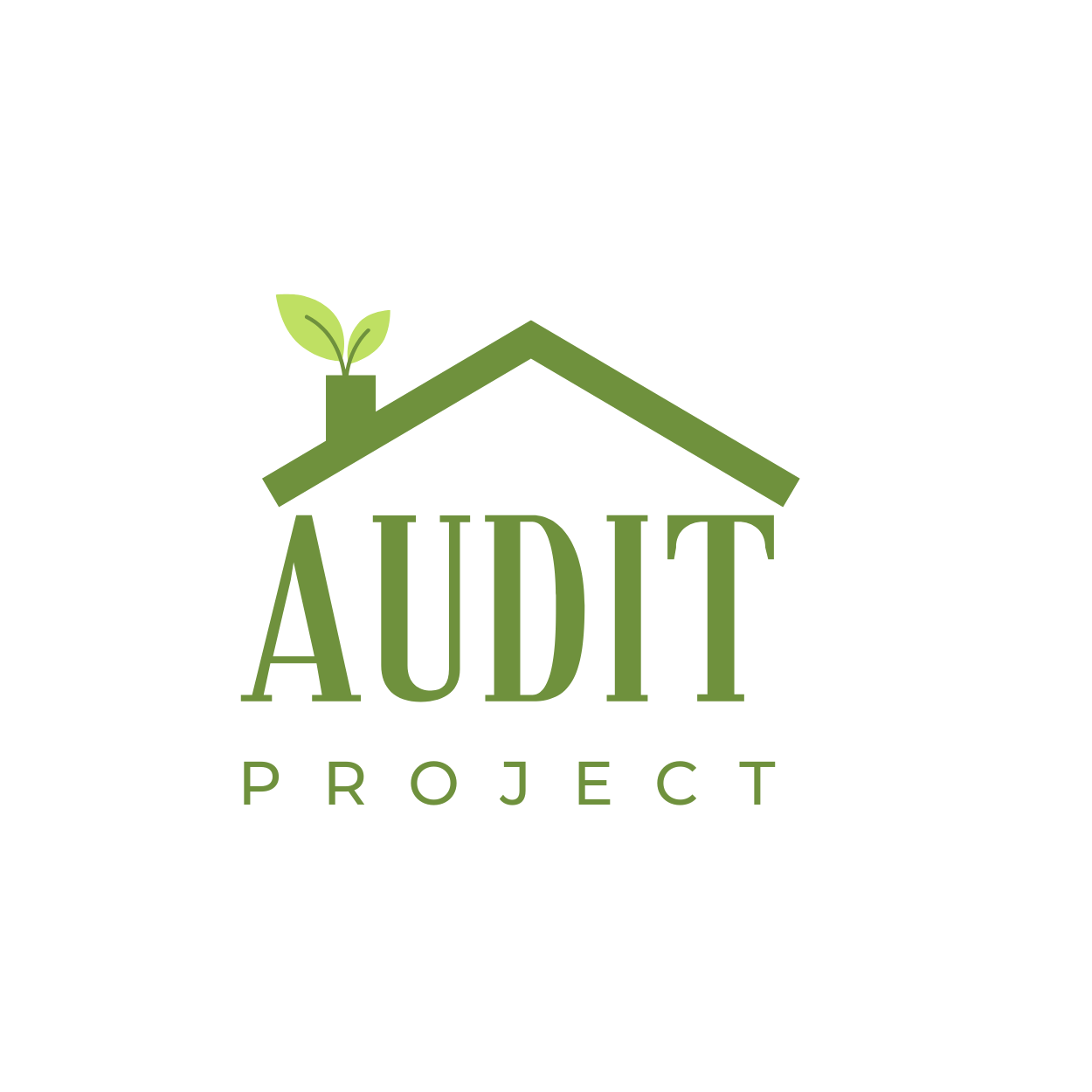 Logo de AUDIT PROJECT, société de travaux en Autre catégorie