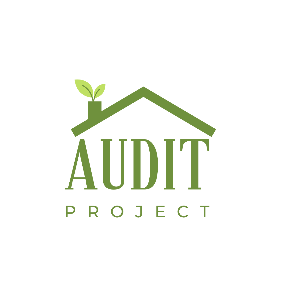 AUDIT PROJECT